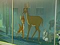 Original Disney Murals On Display | BahVideo.com