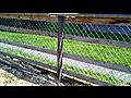 le zoo du papa de melanie | BahVideo.com