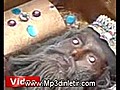 Kars amp 039 kar t ran papaz mumyas  | BahVideo.com