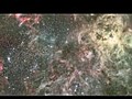 Hubblecast 44 Hubble spies on the Tarantula  | BahVideo.com