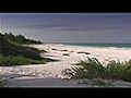 Bahama Beach | BahVideo.com