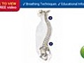 Prehab Preventing Injury | BahVideo.com