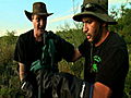 Swamp Brothers Rattlesnake Rustlers | BahVideo.com