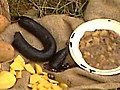 Heimatgerichte aus dem Spessart | BahVideo.com