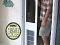 DoggieDoors - Petsafe Pet Doors For Your Dog  | BahVideo.com