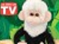 Top Christmas toys 2010 Dave the Monkey review | BahVideo.com
