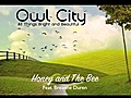 Owl City Honey And The Bee | BahVideo.com