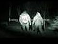 Living with the Wolfman - Nightwalk with the  | BahVideo.com