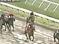 Fox Flash Hilarious Horse Race Call | BahVideo.com
