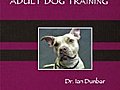 SIRIUS r Adult Dog Training | BahVideo.com