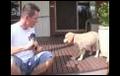 Dog training video Hound TV 16 - Saturday 17  | BahVideo.com
