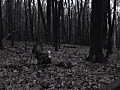 Turkey hunt spring 09 in Eastern Michigan | BahVideo.com