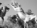 White Mane 1952 amp 8212 Movie Clip Proud And Fearsome Horse | BahVideo.com