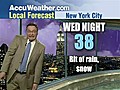 Crazy New York Weatherman | BahVideo.com