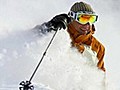 How to plan a Western ski vacation | BahVideo.com