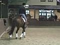 How to Determine Riding Attentional Style in Equestrian Sports | BahVideo.com