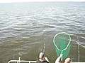 The Best Chesapeake Charter Fishing Trip With  | BahVideo.com