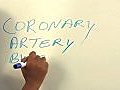 Beautiful Nurse Writes Coronary Artery  | BahVideo.com