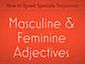 Learn Spanish Masculine and Feminine Adjectives | BahVideo.com