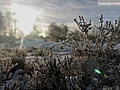 Vintermorgen i S by | BahVideo.com