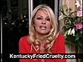 KFC Animal Cruelty Pamela Anderson | BahVideo.com