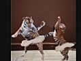 Animated Dancing Animals - Music - Oops Upside Your Head | BahVideo.com
