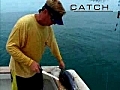 Big Game Fishing 400 pound fish KO man | BahVideo.com