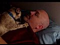Cat throat massage | BahVideo.com