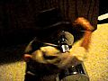 Gay Indiana Jones 3 | BahVideo.com