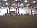 Illinois Stare Jersey Show 08 19 10 08 50AM | BahVideo.com