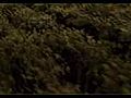 Harry Potter and the Half Blood Prince Clip 2 | BahVideo.com