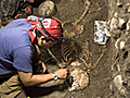 Hallan la tumba m s antigua de Mesoam rica | BahVideo.com