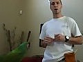 Training a Military Macaw | BahVideo.com