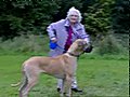 Granny Walks Dog | BahVideo.com