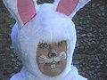 Dibley s Easter Bunny | BahVideo.com