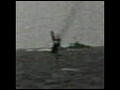 Japanese Aerial Attacks Plane Shotdown | BahVideo.com