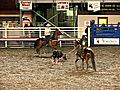 Cody Stampede Rodeo - Team Roping | BahVideo.com