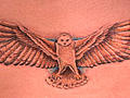 Tattoo Highway Owl Tattoo | BahVideo.com