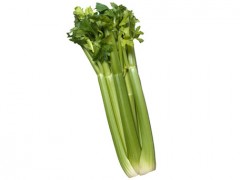 How to Choose and Store Celery | BahVideo.com