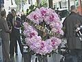Tributes to Elizabeth Taylor | BahVideo.com