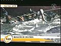Matanza de Delfines - Venetubo com | BahVideo.com