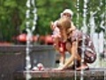 Child and mother in the fountains | BahVideo.com
