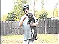 Training Your Pet The Bosco amp Sodi Pop Show | BahVideo.com