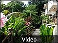 Calibishie Lodges in Dominica - Calibishie  | BahVideo.com