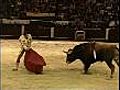 A bullfigher s farewell | BahVideo.com