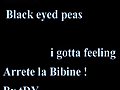 ARRETE LA BIBINE parodie i gotta felling black eyed peas by tdy tdy94 skyrock com | BahVideo.com