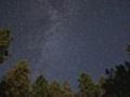 Star time lapse over pine trees | BahVideo.com