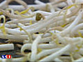Bact rie tueuse des germes de soja sur la  | BahVideo.com