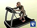 Mind Control Monkey Moves Robot in Japan | BahVideo.com
