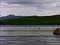 Lake | BahVideo.com